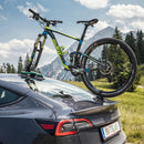 TreeFrog Model Pro 1 fietsendrager (20x110mm)-5