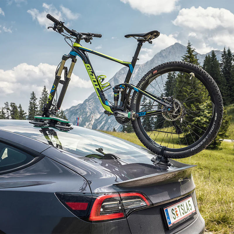 TreeFrog Model Pro 1 fietsendrager (20x110mm)-5